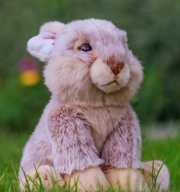 Image 3 of ANIMIGOS - EUROPEAN RABBIT - WORLD OF NATURE (£14.99)